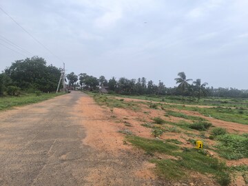 Plot Area in  Plot at Chippada – for Sale