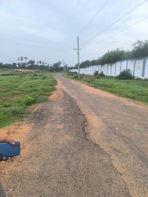 Plot Area in  Plot at Chippada – for Sale