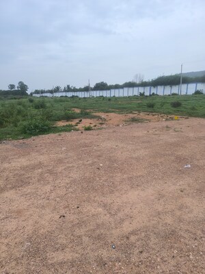 Plot Area in  Plot at Chippada – for Sale