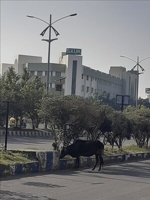 3 BHK Apartment – Exterior View View at New Town - for Sale