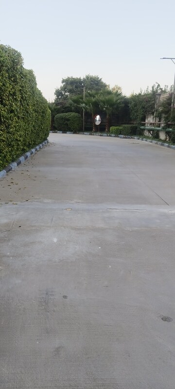 2 BHK Apartment For Rent in BPTP Astaire Gardens, Sector 70a