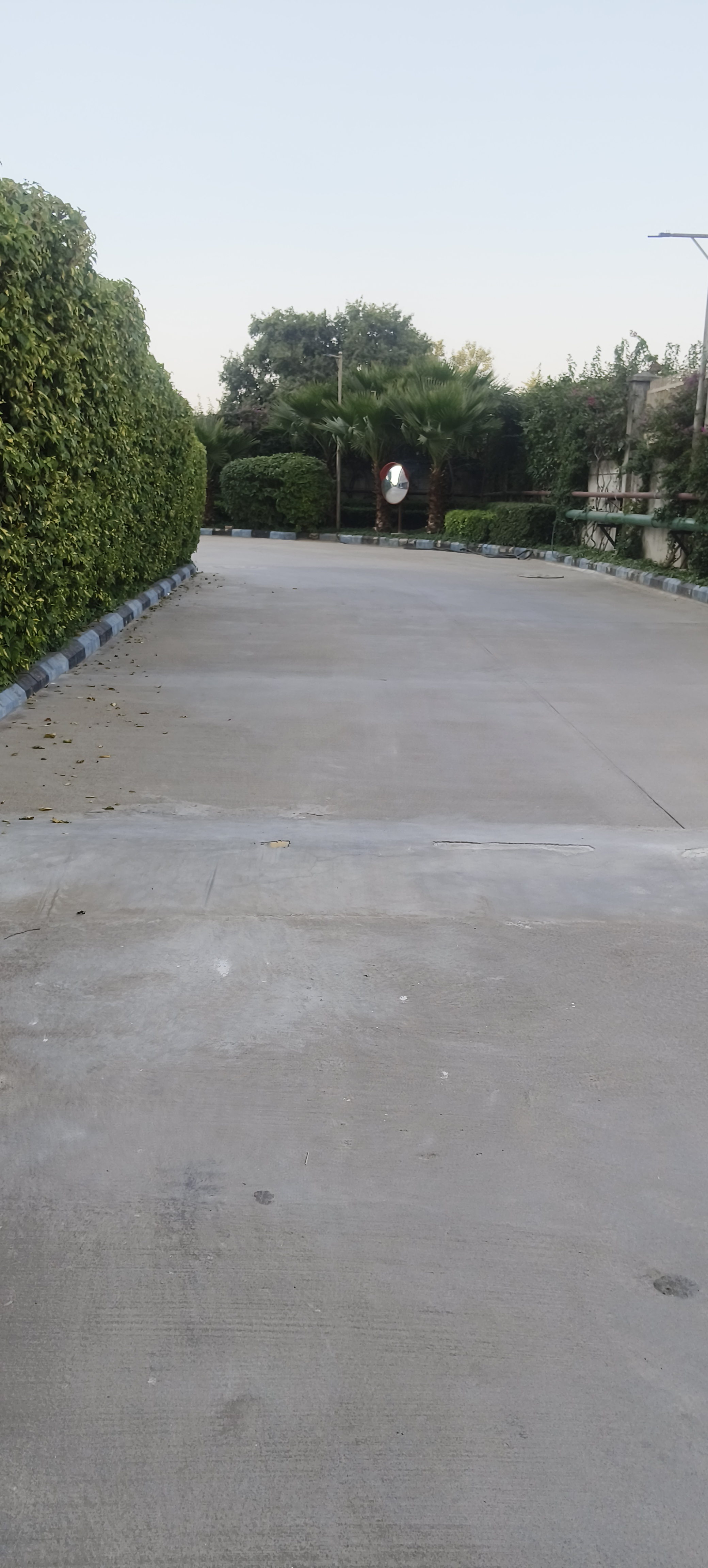 2 BHK Apartment For Rent in BPTP Astaire Gardens