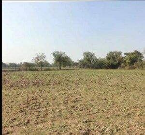  Plot For Sale in Rancharda