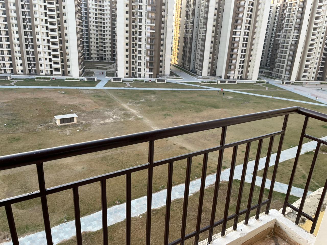 3 BHK Apartment For Rent in Amrapali Golf Homes