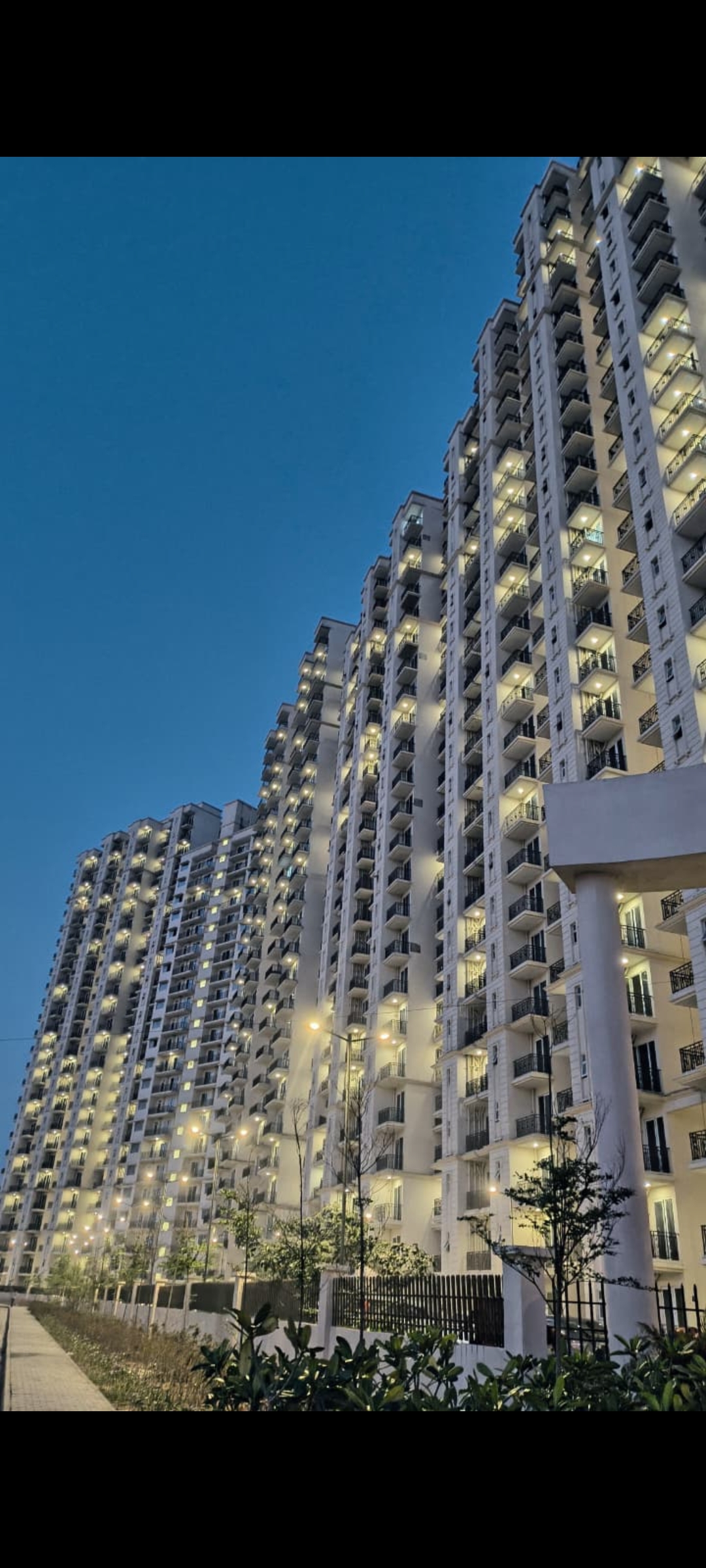 2.5 BHK + Study Room Apartment For Rent in Signature Global Golf Greens