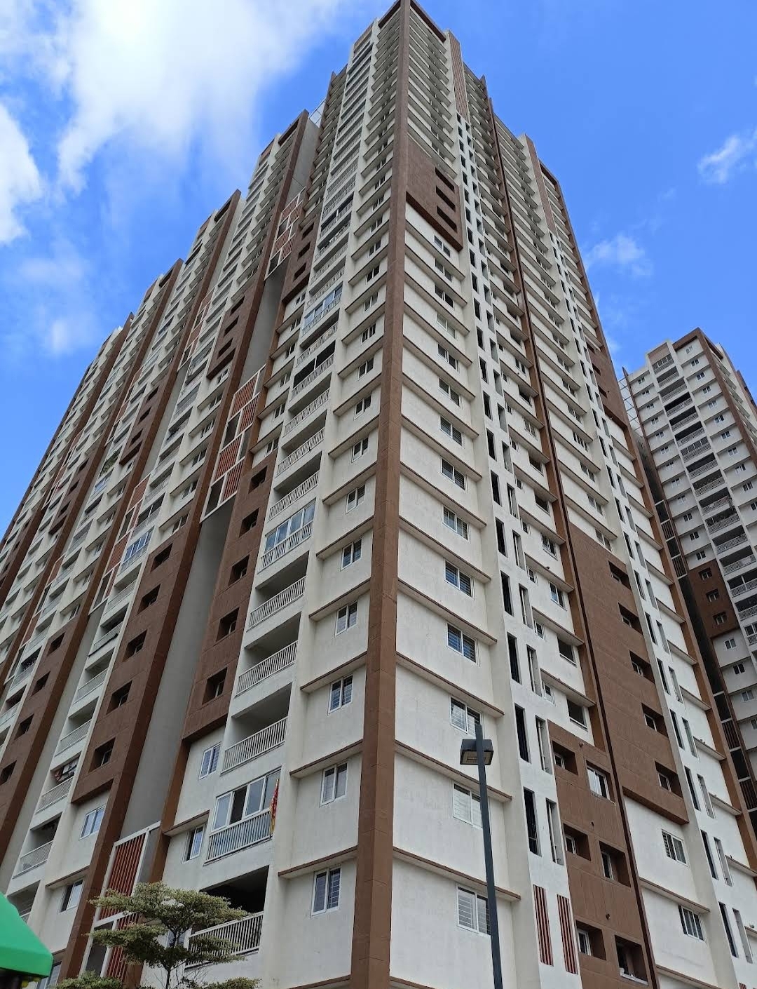 2 BHK Apartment For Rent in My Home Avatar