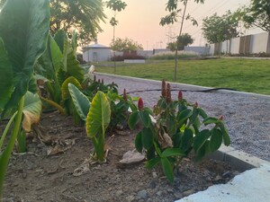  Plot – Garden View at Praneeta Singapur Town, Shankarpalli - for Sale