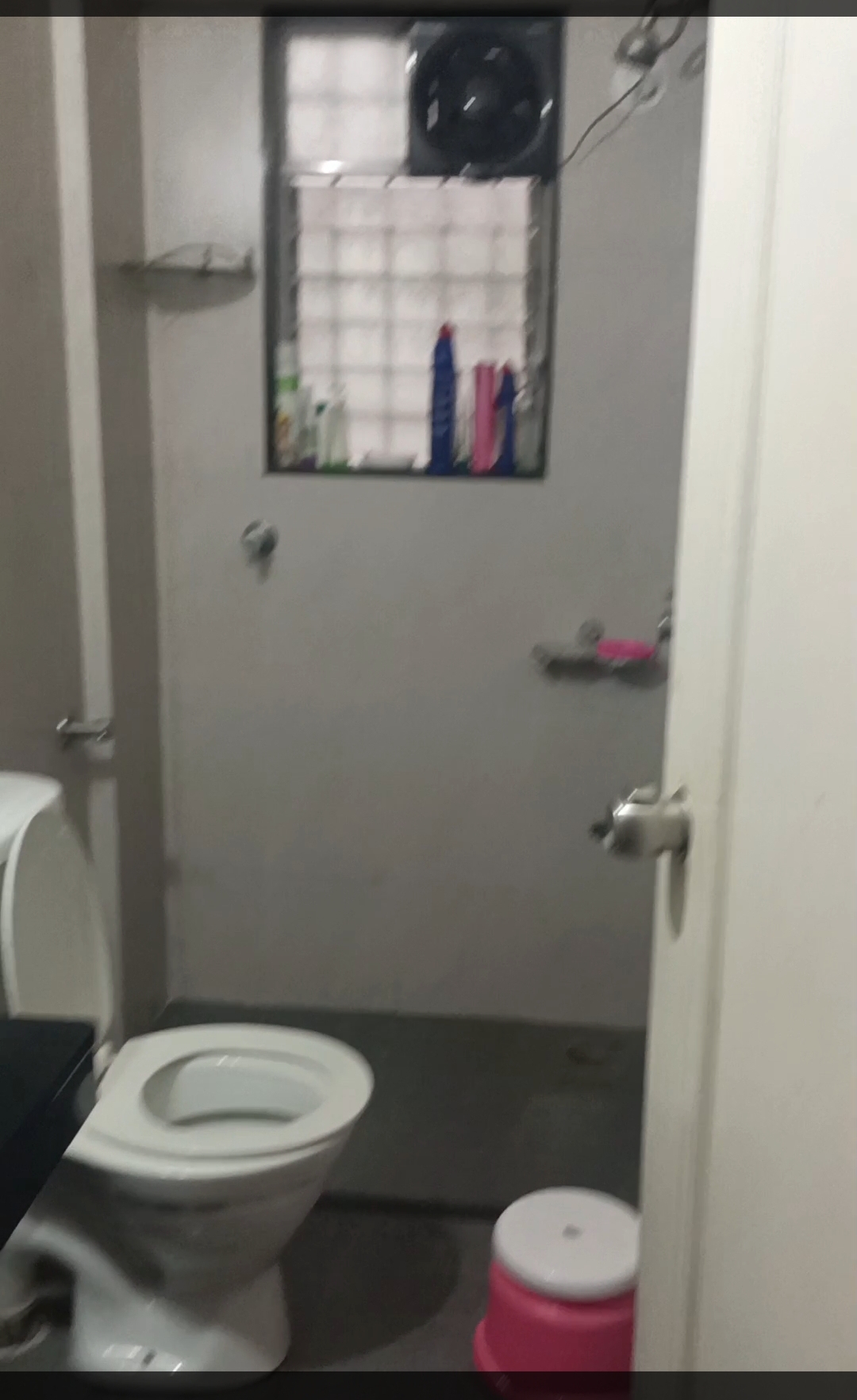 2 BHK Apartment For Rent in Rama Celestial City