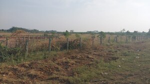 Plot Area in  Land at Vellalore – for Sale