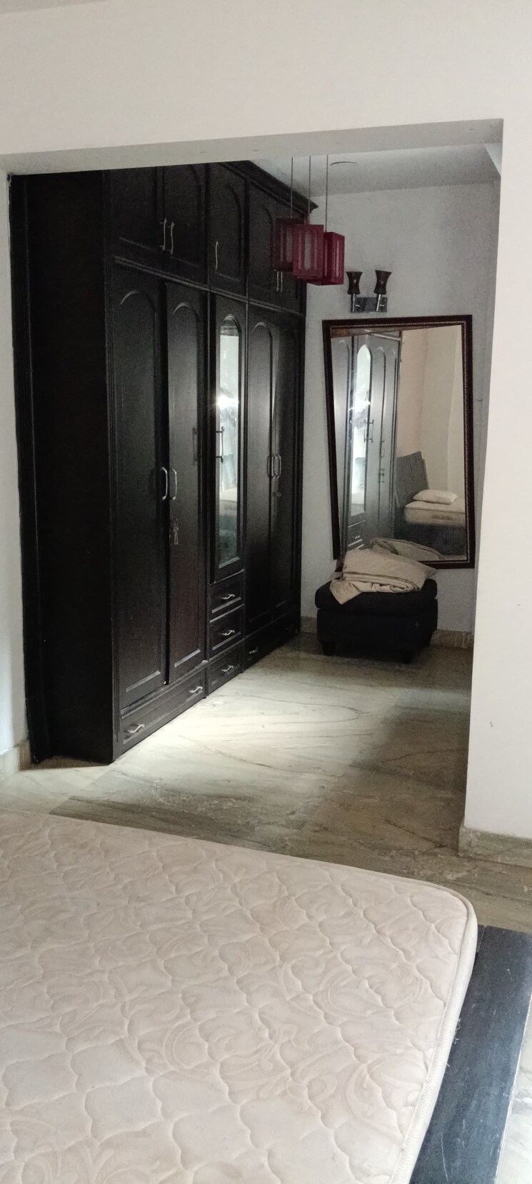 undefined, east-of-kailash-block-b-rwa 2 Bedroom 250 Sq.Yd. Builder Floor In East Of Kailash Delhi 8846755