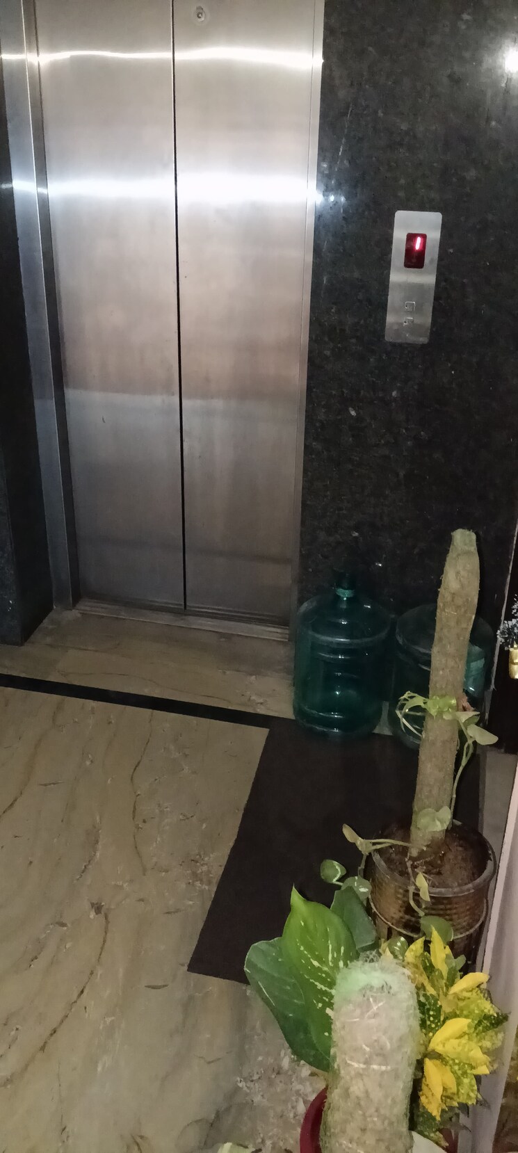 undefined, east-of-kailash-block-b-rwa 2 Bedroom 250 Sq.Yd. Builder Floor In East Of Kailash Delhi 8846755