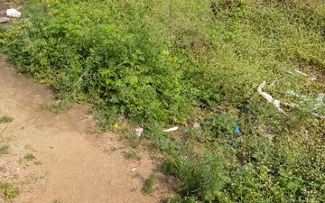 Plot For Sale in Shaikpet