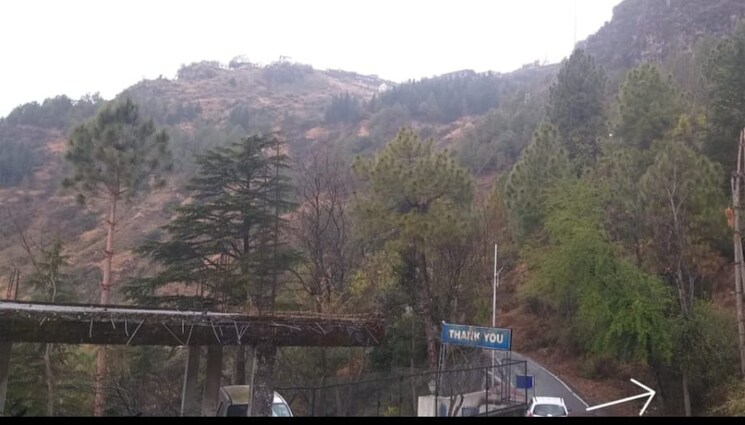 Other, jutogh  2000 Sq.Ft. Plot In Jutogh Shimla 8846827