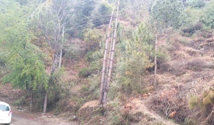 undefined, jutogh  2000 Sq.Ft. Plot In Jutogh Shimla 8846827