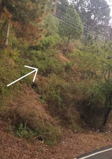  Plot For Sale in Jutogh