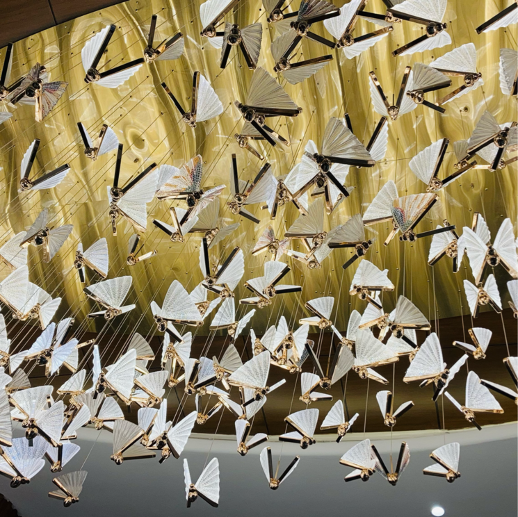 undefined, ace-divino 2 Bedroom 945 Sq.Ft. Apartment In Aimnabad Greater Noida 8846856