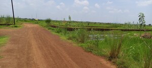 Plot Area in  Plot at Patrapada – for Sale