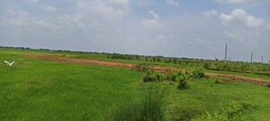 Plot Area in  Plot at Patrapada – for Sale