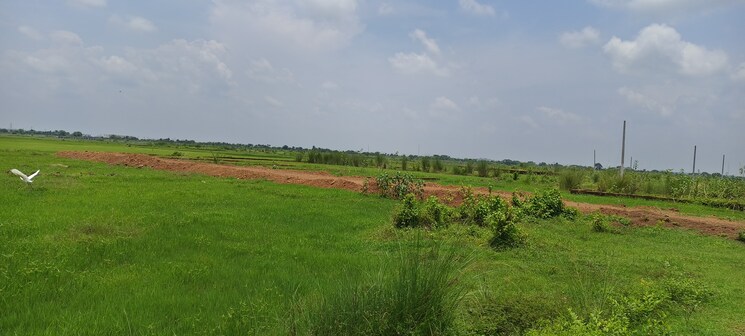 undefined, patrapada  15031 Sq.Ft. Plot In Patrapada Bhubaneswar 8846946