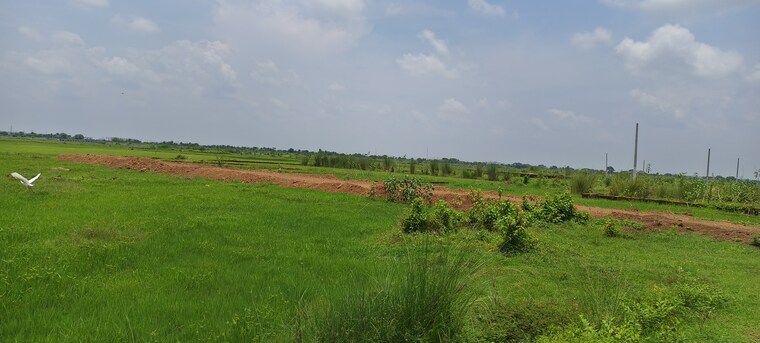 undefined, patrapada  15031 Sq.Ft. Plot In Patrapada Bhubaneswar 8846946
