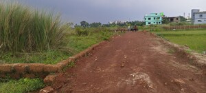  Plot For Sale in Patrapada