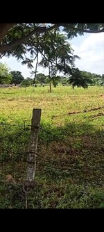 1 Acre Land in Shamshabad