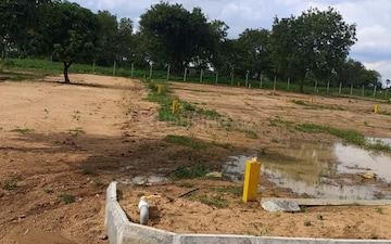 Plot For Sale in Sector 9 Panchkula