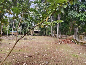  Plot For Sale in Paruthippara