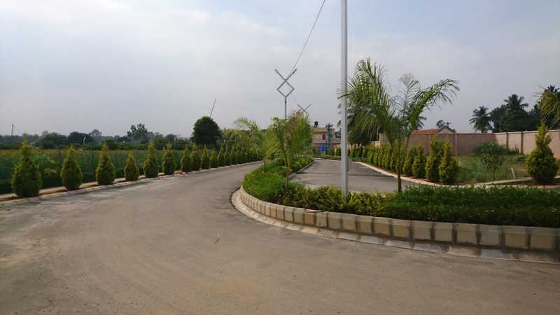 Plot For Sale in Skanda Avani