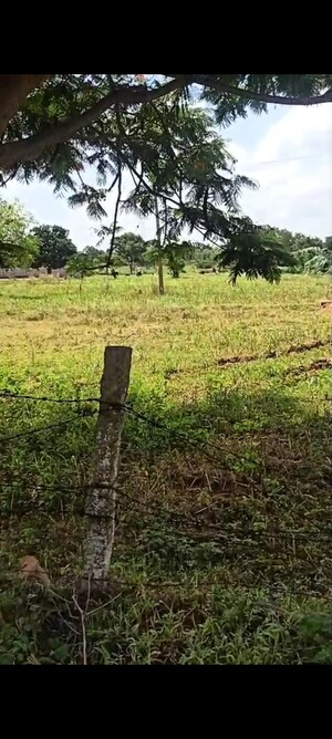  Land For Sale in Shamshabad