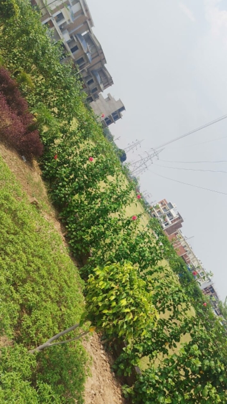 Garden, sector 115 3 Bedroom 150 Sq.Yd. Builder Floor In Sector 115 Mohali 8847242