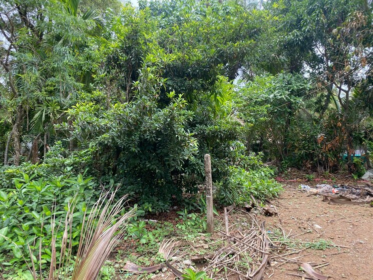 undefined, alibag  8500 Sq.Ft. Plot In Alibag Raigad 8847222