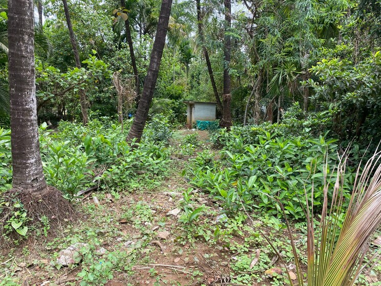 undefined, alibag  8500 Sq.Ft. Plot In Alibag Raigad 8847222