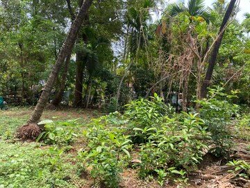 Plot Area in  Plot at Alibag – for Sale