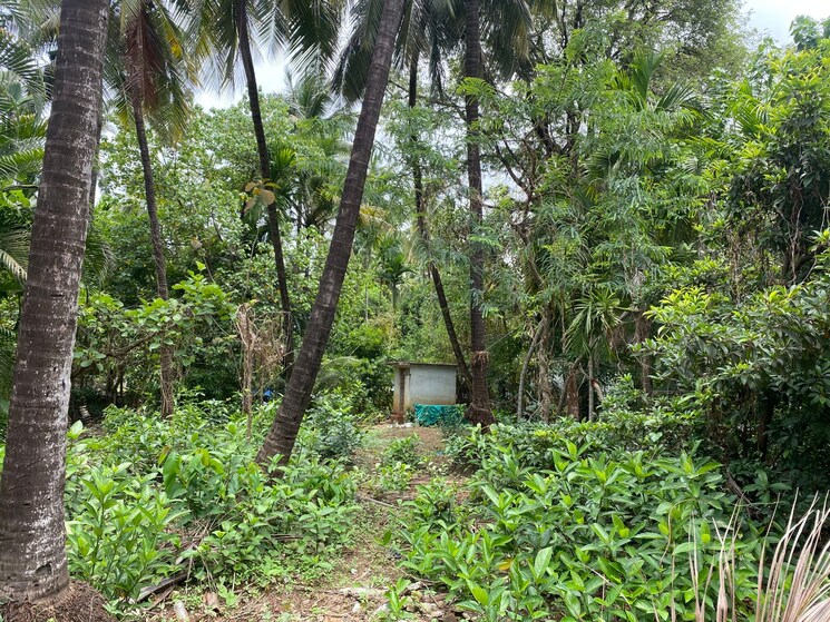 undefined, alibag  8500 Sq.Ft. Plot In Alibag Raigad 8847222