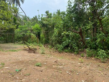  Plot For Sale in Alibag