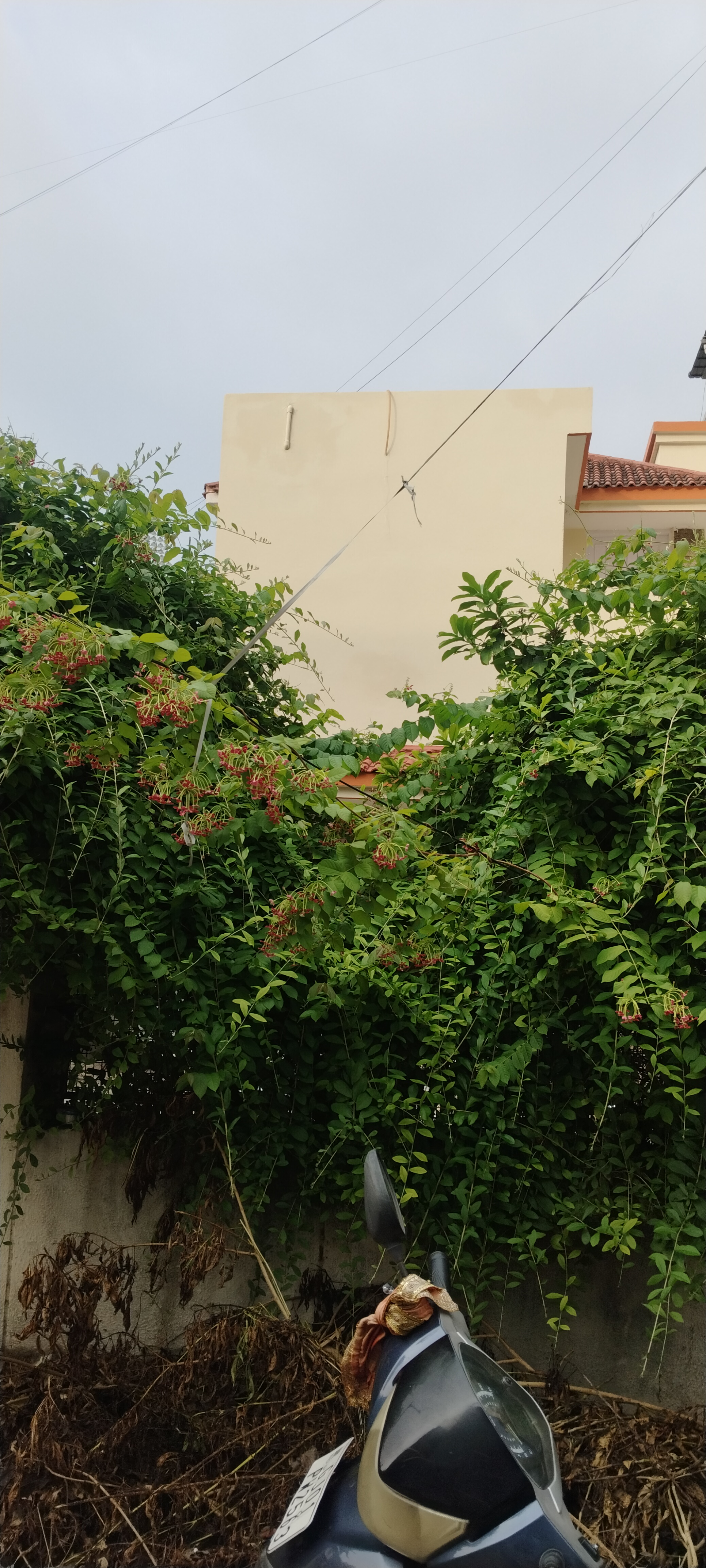 4 BHK + Extra Room Villa For Sale in Shreyash