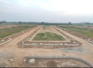  Plot For Sale in Patiala Road