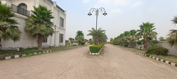 Nearby, gt road  150 Sq.Yd. Plot In Gt Road Amritsar 8847483