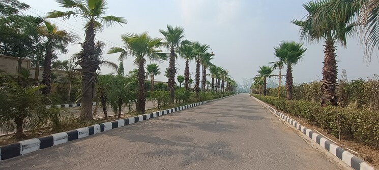 Nearby, gt road  150 Sq.Yd. Plot In Gt Road Amritsar 8847483