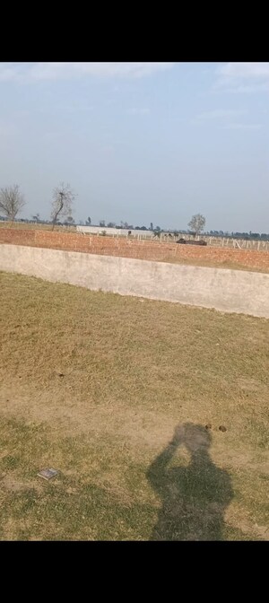 Plot Area in  Plot at Manjhawali – for Sale