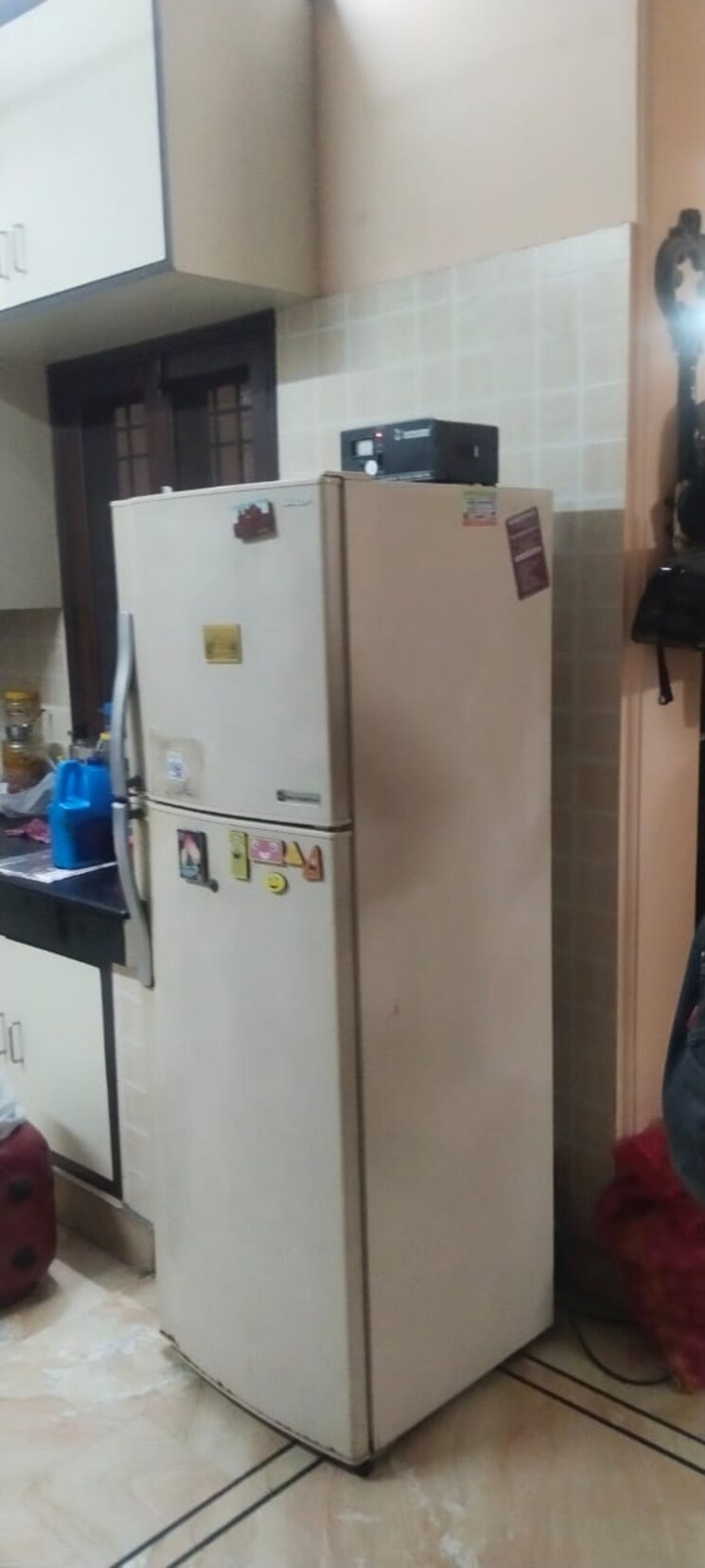 undefined, sector 49 2 Bedroom 1200 Sq.Ft. Independent House In Sector 49 Noida 8847670