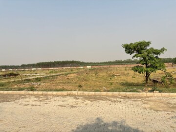Plot Area in  Plot at Lalru – for Sale