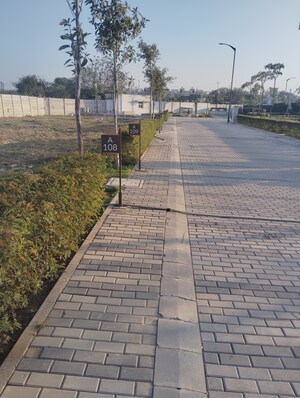  Plot – Exterior View View at Dholera - for Sale