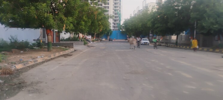 Exterior View, sector 77  205 Sq.Yd. Plot In Sector 77 Faridabad 8848011