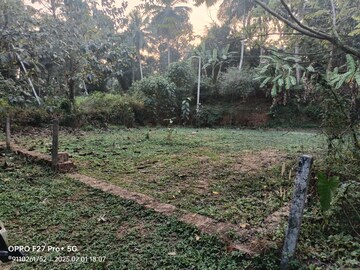 Plot Area in  Plot at Jp Nagar – for Sale