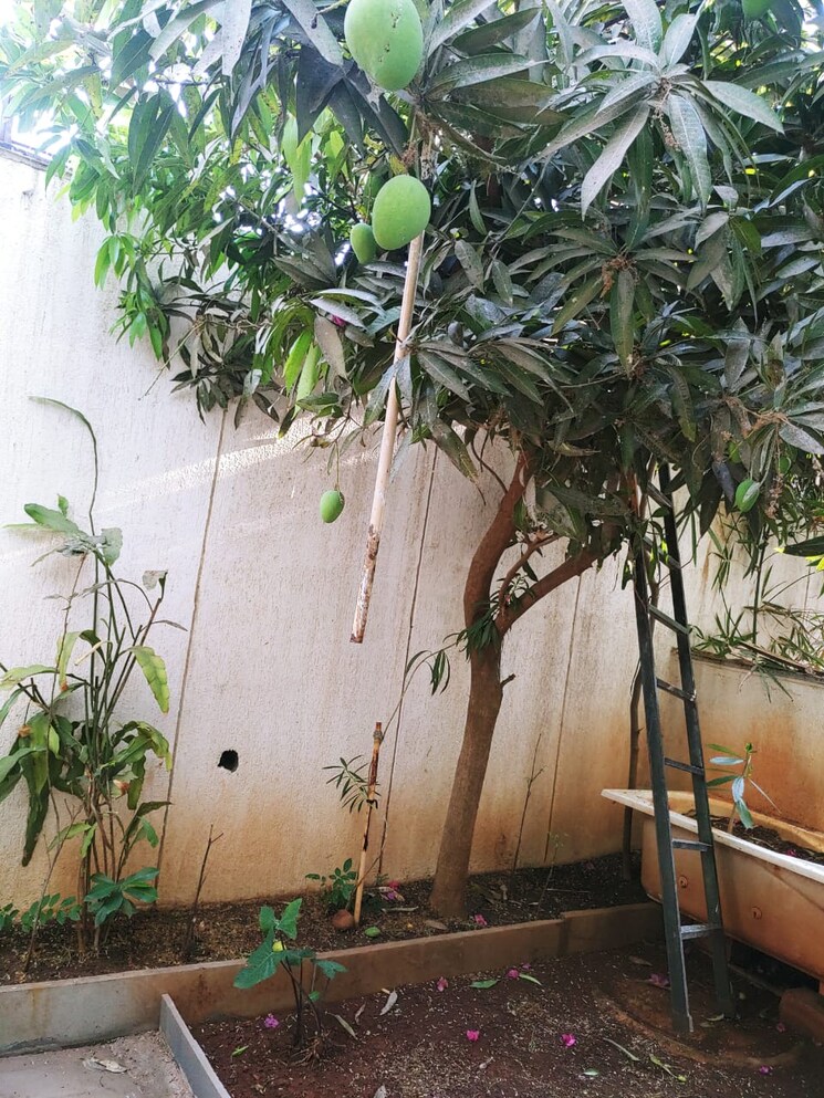 Balcony, gera-isle-royale 4 Bedroom 1700 Sq.Ft. Apartment In Bavdhan Pune 8848176