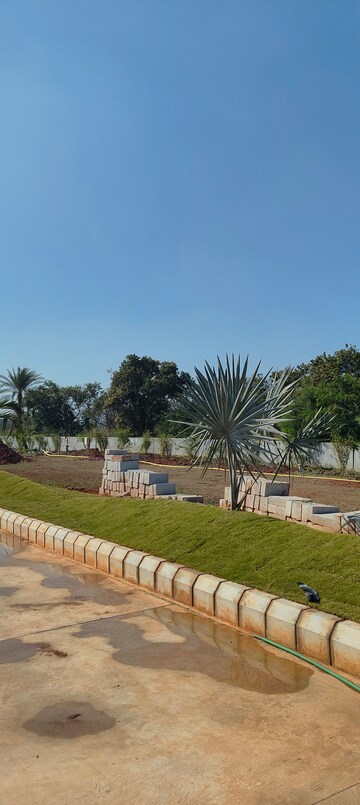 Plot Area in  Plot at Peddapur – for Sale