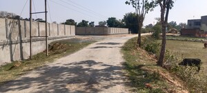 Plot For Sale in Ormanjhi