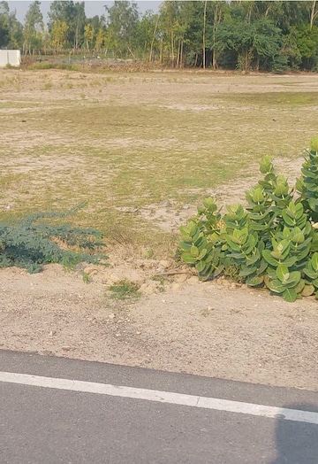 Plot Area in  Plot at Raebareli Road – for Sale
